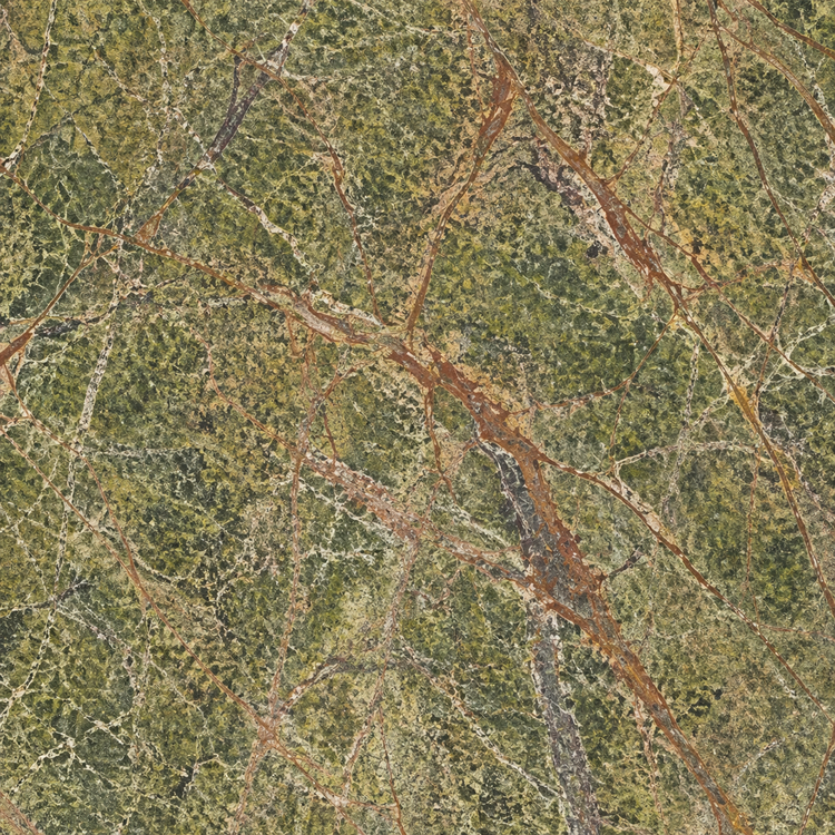 MOSS